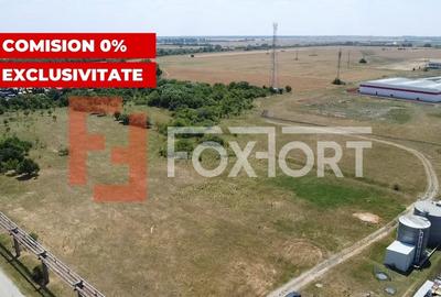 COMISION 0% Teren de vanzare intravilan de 5000 mp in Chisoda - 3