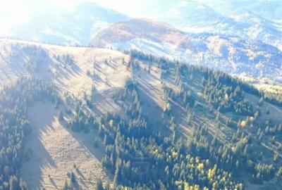 Teren de 47732 mp, în Panaci - 4