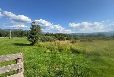 12700 mp investitie rezidentiala- turistica- medicala Tinovul Mic/Șaru Dornei - 15