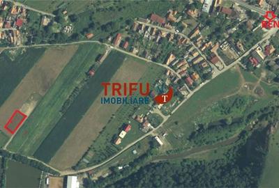 Spațiu comercial, în Șard - 6