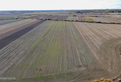 Bucovat - Lot Intravilan 2.27 Ha, PUZ inceput, Rezidential + Servicii! Bucovat - Lot Intravilan 2.27 Ha, PUZ inceput, Rezidential + Servicii! - 1