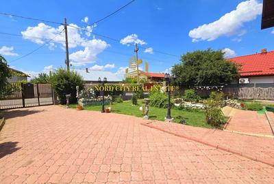 Casa de vanzare - Snagov - Tancabesti - 14