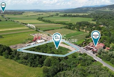 Teren agricol intravilan de 9142 mp, în Buteni - 2