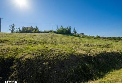 Teren de 1000 mp, în Paleu - 2