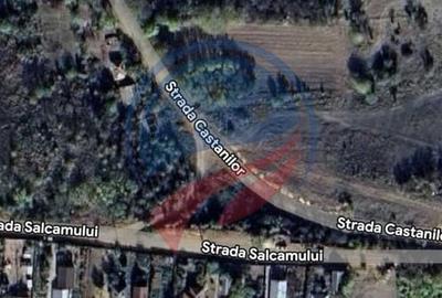 Teren de vanzare in Ghindeni/Dolj - 2