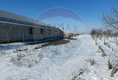 Teren intravilan Rastoaca - Varsatura - 3