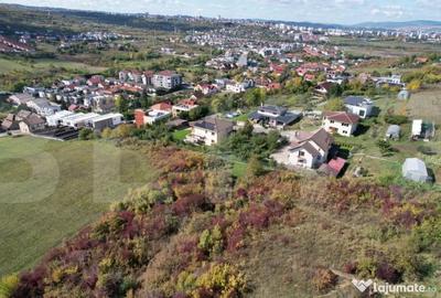 Teren de 6896 mp, în Borhanci - 5