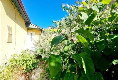 Birou, de 45 mp, în Răcădău - 1