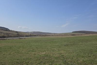 Teren de 25000 mp, în Hereclean - 2