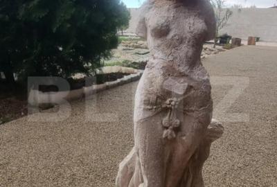 Casă cu 8 camere cu Teren 28000 Mp în Baba Ana - 5