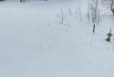 Teren de 800 mp, în Cheia - 4