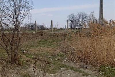 Teren intravilan 5,9 ha compact, platou cu utilitati   ptr.bussines -Hale, Depoz Teren intravilan 5,9 ha compact, platou cu utilitati   ptr.bussines -Hale, Depoz - 3