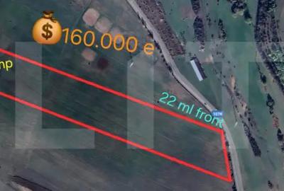Teren de 5000 mp, în Ciurila - 2