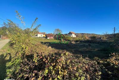 Spațiu comercial, în Valea Cheii - 4