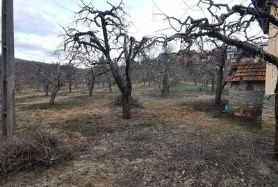 Casă cu 4 camere în Capu Coastei - 6