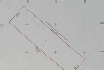 Spațiu comercial, în Dascălu - 1