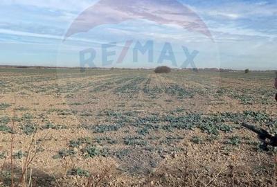 Teren de vanzare Joita-Ulmi DC147 - 2