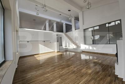 Vila superba, 4 camere, in zona Hlincea - 2