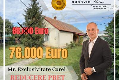 Casă individuală cu 3 camere cu Teren 3263 Mp în Carei - 20
