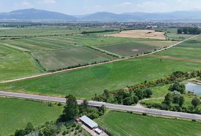 DN11 | 45.000 mp industrial | Front 155 ml | PUZ aprobat | UAT Prejmer - 3