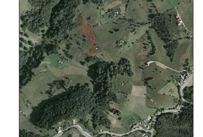 Teren de 1000 mp, în Drumul Carului - 4