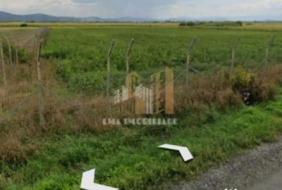 Teren de 14450 mp, în Feldioara - 9