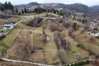 Teren Panoramic - intravilan 3726mp | Podul Dambovitei - 2