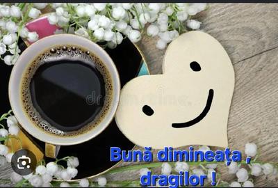 Apartament cu 3 camere decomandat în Central - 8
