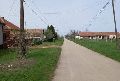 Casă cu Teren 1800 Mp în Central - 2