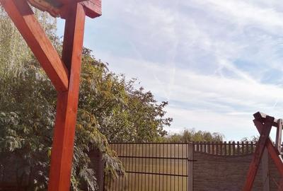 Casă cu 6 camere cu Teren 2255 Mp în Cenad - 3