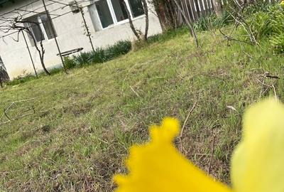 Casă cu 4 camere cu Teren 2000 Mp în Băltenii de Jos - 8