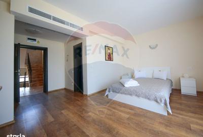 Spațiu comercial, de 450 mp, în Limanu - 20