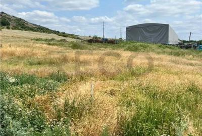 Teren de 502 mp, în Betfia - 3