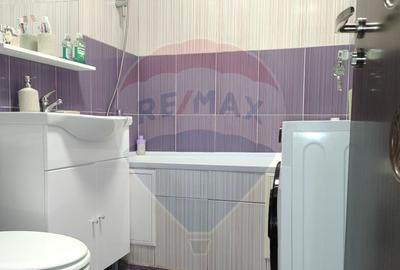 Apartament cu 1 camere de inchiriat in zona Brazda lui ... - 9