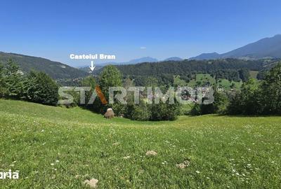 Teren de 3296 mp, în Bran - 8
