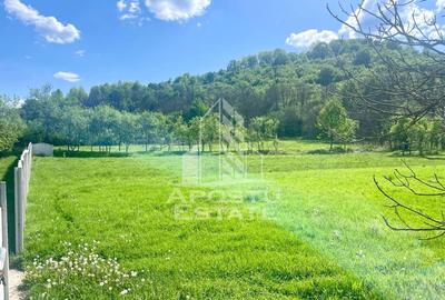 Teren intravilan, partial imprejmuit, eligibil grant- Poj... - 3