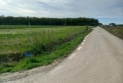 Spațiu comercial, în Lupăria - 3