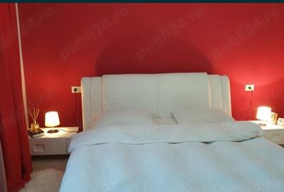 Apartament cu 2 camere decomandat în Giroc - 4