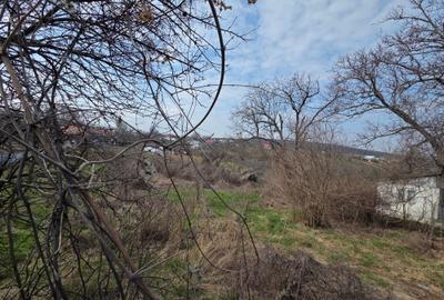 Teren Construcții intravilan de 1944 mp, în Copăcești - 5