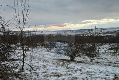 Teren 10,000mp Rada?eni / ?oseaua DN2-E85, jude?ul S... - 11