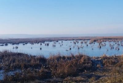 Vand teren intravilan 4000MP cu  dechidere la Delta Neajlovului, Comana GR - 4