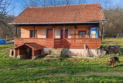 Casa tradi?ionala de vanzare cu 3600 mp - 9