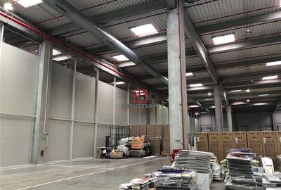 Depozit/hala/spatiu industrial Mogosoaia - Centura, Ilfov - 3