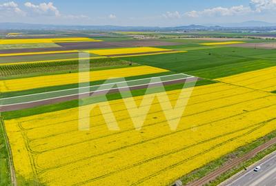 Teren agricol extravilan de 10600 mp, în Codlea - 1