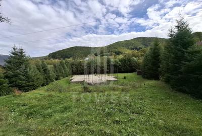 Teren Construcții intravilan de 3622 mp, în Râu Sadului - 5