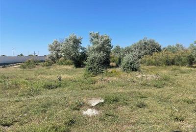 Teren de Vanzare in Sulina - 6