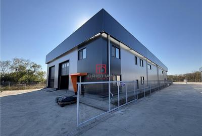 Depozit/hala/spatiu industrial Chitila - Centura - Rudeni - 4