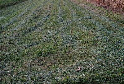 Teren de 708 mp, în Tăuți - 1