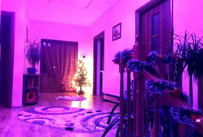 Casă individuală cu 8 camere cu Garaj în Cetate - 19