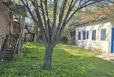 Casă cu 3 camere în Goiești - 5